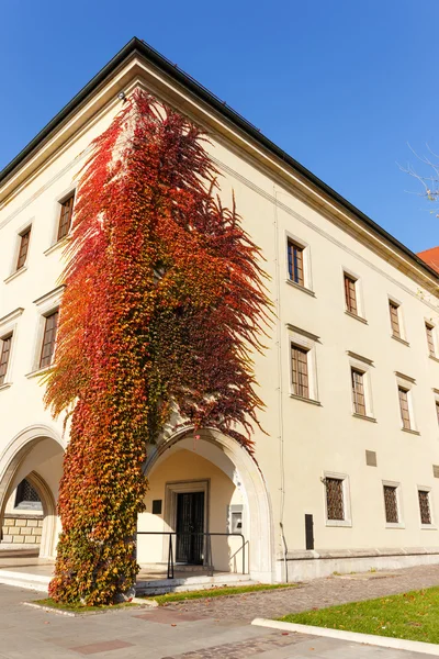 Wawel Castle in Krakow, Poland — Stock Photo, Image