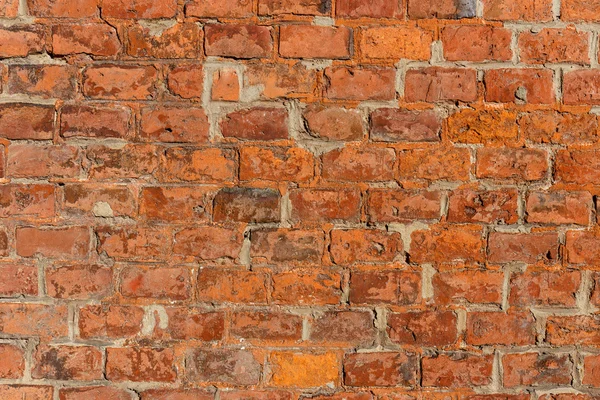 Vieux mur de briques — Photo