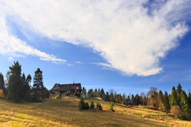 sonbahar dağ manzarası