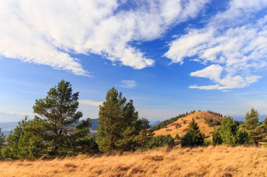 sonbahar dağ manzarası