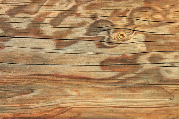 Wood texture — Stock Photo, Image