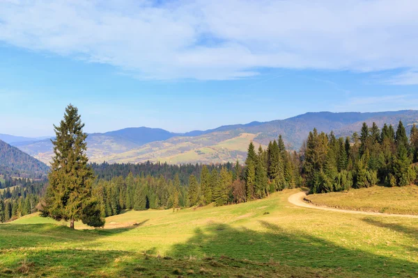 Landscape with mountains and trees — Stock Photo, Image