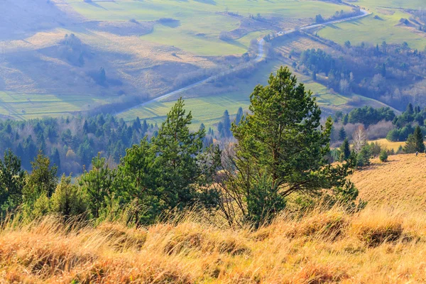 Jesień krajobraz górski — Zdjęcie stockowe