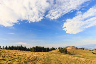 sonbahar dağ manzarası