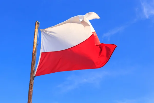 Polish flag on the blue sky — Stock Photo, Image