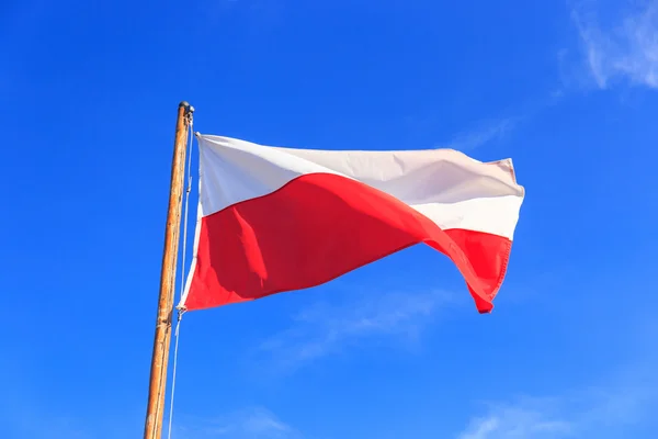 Polnische Flagge am blauen Himmel — Stockfoto