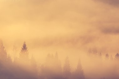 Dağlarda güzel misty sabah