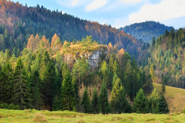 Sonbahar dağ manzarası, Pieniny, Polonya — Stok fotoğraf