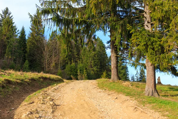 Dağlardaki Yol — Stok fotoğraf