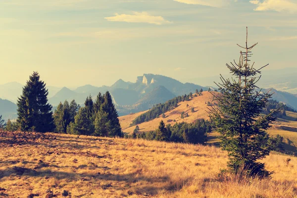 Autunno paesaggio montano, look vintage — Foto Stock