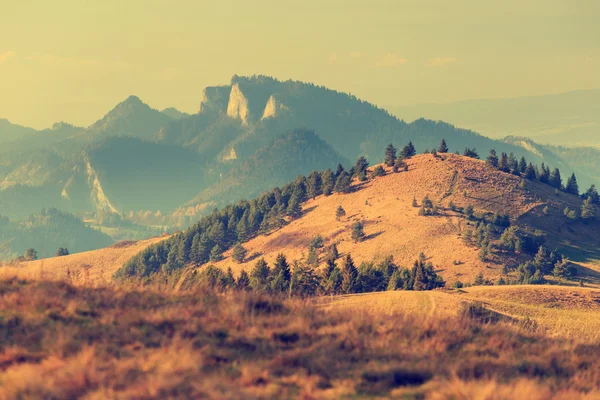 Sonbahar dağ manzarası, vintage bir görünüm — Stok fotoğraf