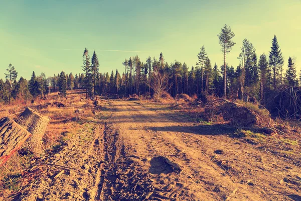 Dağlardaki Yol — Stok fotoğraf