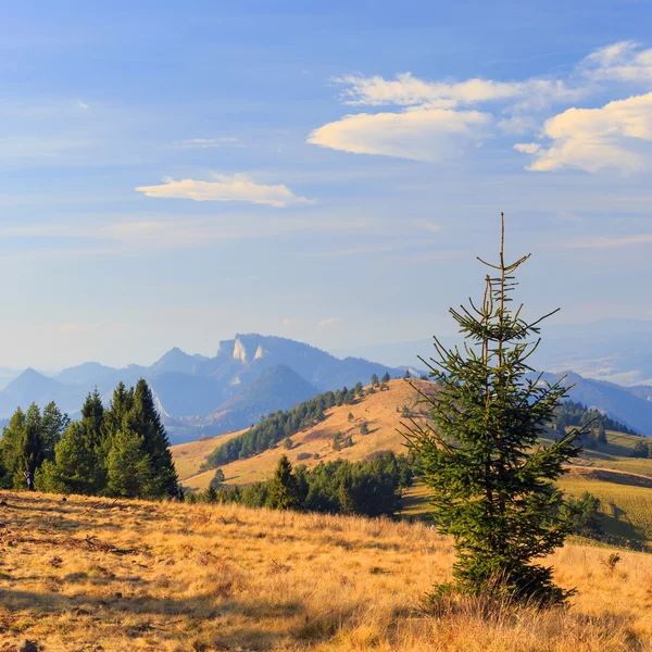 Dağ manzarası ve ağaçlar — Stok fotoğraf