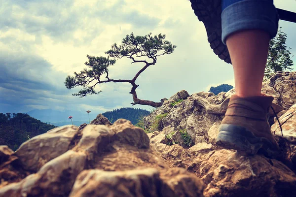Benen van een vrouw toerist op een bergtop — Stockfoto