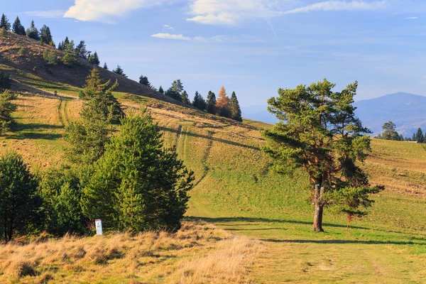 Hegyi táj és a fák — Stock Fotó