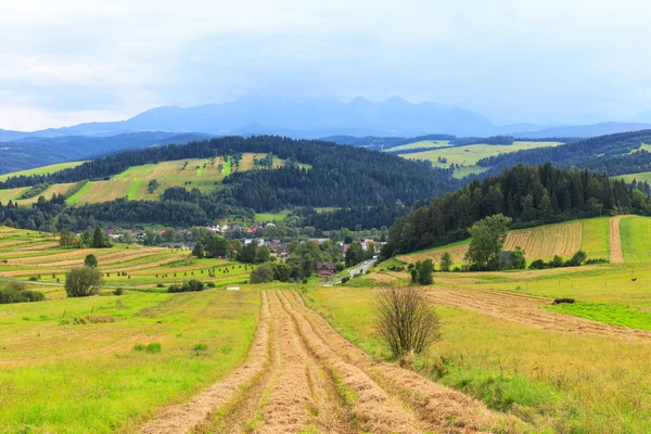 View from Spisz to The Tatra Mountains, Poland — Stock Photo, Image