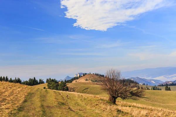 Sonbahar dağ manzarası — Stok fotoğraf