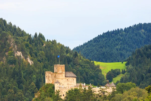 Niedzica castle, Polsko — Stock fotografie