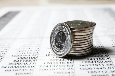 Polonya Zlotisi paralar, yakın çekim