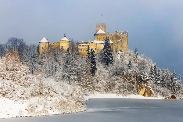 Beautiful view of Niedzica castle, Poland, Europe — Stock Photo, Image