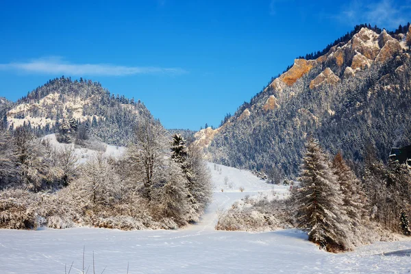 Paesaggio invernale a Pieniny Mountains, Tre Corone, Polonia — Foto Stock