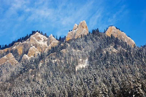 Зимний пейзаж в горах Пенины, Три короны, Польша — стоковое фото