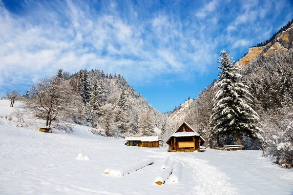 Paesaggio invernale a Pieniny Mountains, Tre Corone, Polonia — Foto Stock