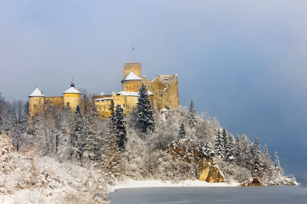 Niedzica 城、ポーランド、ヨーロッパの美しい景色 — ストック写真