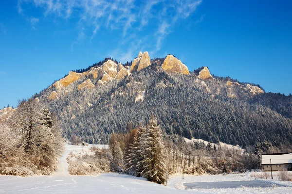 Paesaggio invernale a Pieniny Mountains, Tre Corone, Polonia — Foto Stock