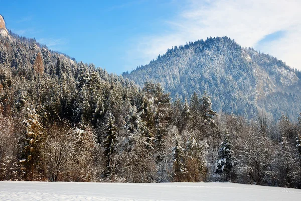 Paisagem de inverno em Pieniny Mountains, Three Crowns, Polonia — Fotografia de Stock