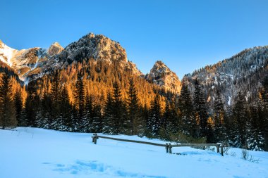 Kış manzara yüksek Tatra Dağları'nın, Polonya