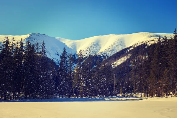 Zimowy krajobraz w Wysokie Tatry, Polska — Zdjęcie stockowe