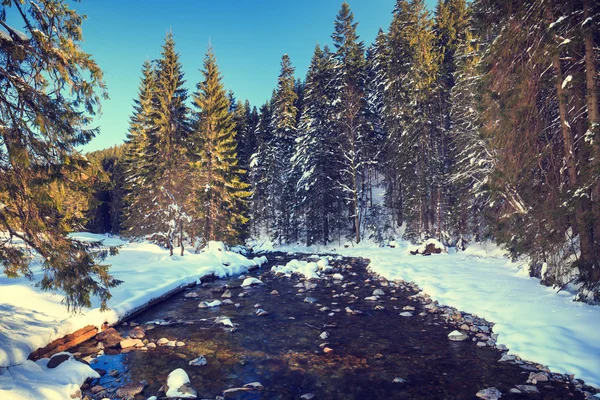 Řeka v zimě horského lesa. — Stock fotografie