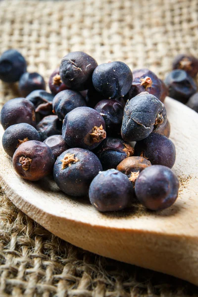 Juniper berries on old wooden spoon — Stock Photo, Image