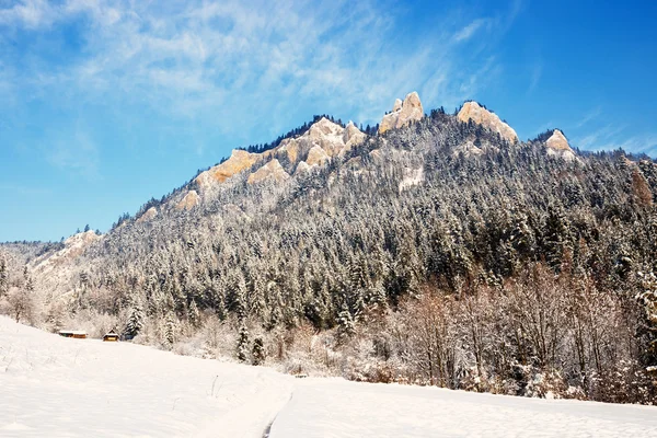 Paesaggio invernale a Pieniny Mountains, Tre Corone, Polonia — Foto Stock