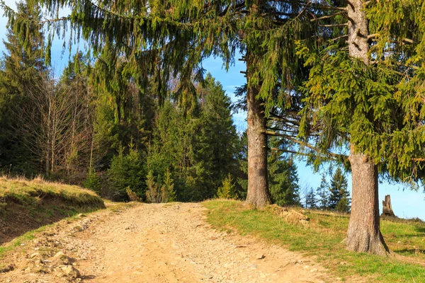 Vägen i bergen — Stockfoto