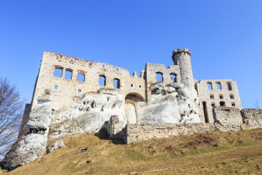 ogrodzieniec Kalesi, Polonya.