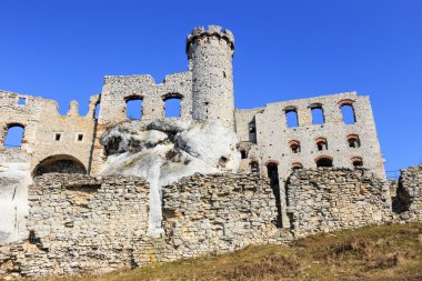 ogrodzieniec Kalesi, Polonya.