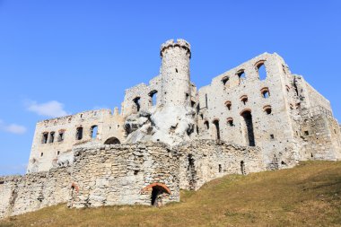 ogrodzieniec Kalesi, Polonya.
