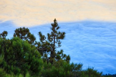 Bulutların üzerinde son güneş ışığı, Tenerife, Kanarya Adaları, İspanya ile okyanus su üzerinde havadan görünümü