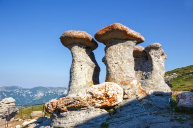 Babele - Geomorphologic kayalık yapılar Bucegi Dağları, Romanya