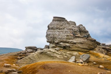 Sphinx - Geomorphologic kayalık yapılar Bucegi Dağları, Romanya