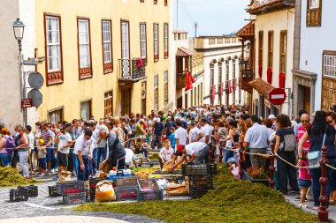 La Orotava, Tenerife, İspanya - 11 Haziran 2015: Corpus Christi kutlama bir Tenerife en derin köklü gelenekleri vardır.