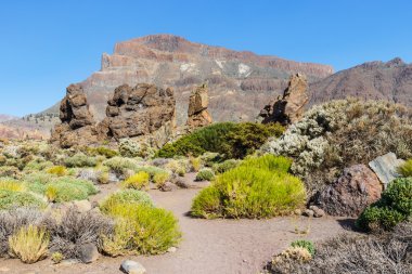 Roques de Garcia, Teide Milli Parkı, Tenerife, Kanarya Adaları, İspanya