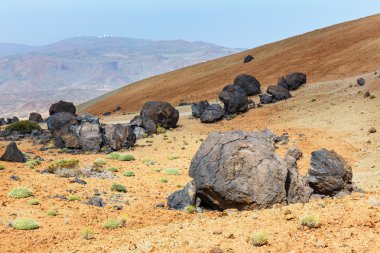 Volcanic bombs on Montana Blanca, Teide National Park, Tenerife, Canary Islands, Spain clipart