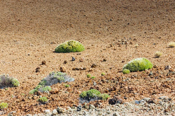 Montana Blanca, národní Park Teide, Tenerife, Kanárské ostrovy, Španělsko — Stock fotografie