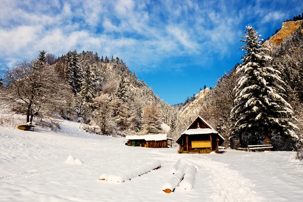 Casa in legno in montagna, Three Crowns, Pieniny Mountains, Polonia — Foto Stock