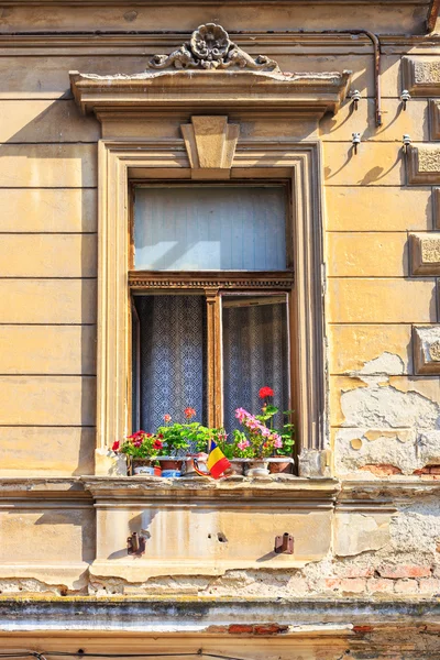 Okna a okenice, zblízka — Stock fotografie