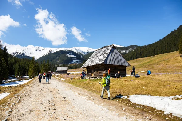 Tatra, Polen - 25. April 2015: Undefinierte Touristen besuchen das Chocholowska-Tal. Krokusblumen, die im Frühling blühen, sind eine große Attraktion für viele Menschen — Stockfoto