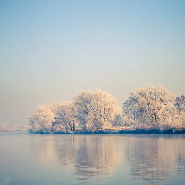 Neve árvores cobertas, paisagem de inverno Imagens Royalty-Free